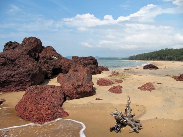 Galgibaga/Turtle Beach Goa, Top Attractions & Things to Do