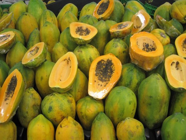 Papaya fruit