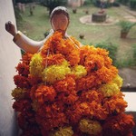 basilicabomjesus india goa panjim