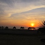 @instagram: #morjim #morjimbeach #from #marbellaguesthouse #goa #unique #expectations