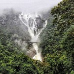 dudhsagar goa falls