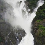 india goa nature falls