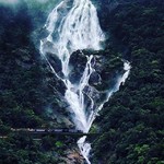 dudhsagar nature