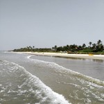 @instagram: #day15 #beach6 #majorda #goa