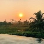 @instagram: Another #sunset #palmtrees #pooltime #goa #majorda #india #nofilter