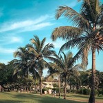 varca india goa hotel trees