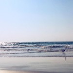 @instagram: Another day, another Goan beach.
10 days of this bliss is going to be wonderful. ????✨