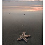 varca goa beach