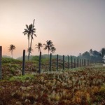 @instagram: If life is a #Beach, #Goa is home.
.
.
.
.
.
.
.
#BeachRun
#Zuri
#Varca
