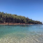 @instagram: ???????????? #wildchild #ocean #india #cavelossim #southgoa #goalife #mobor #moborbeach