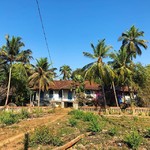 @instagram: Amazing old house near to Cavelossim ????
#goa #india #travelbirdie #travelblogger #travel #cavelossim #digitalnomad #digitalnomads #digitalnomadstyle #digitalnomadlife