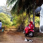 @instagram: village life .
.
.
#goa #village #goavillage #goalife #cat #bke #scooter #fisher #fishermen #house #palms #summer #vespa #siolim #fisherhouse #inthevillage #road #india #indiavillage #cowboy #asia #asiavillage #vilage #гоа #деревня #рыбак #котик