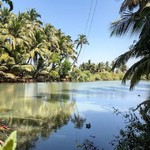 @instagram: Irgendwo bei Cavelossim 
#goa #india #travelbirdie #travelblogger #travel #digitaknomad #digitalnomads #digitalnomadlife #digitalnomadstyle #digitalnomadlifestyle #cavelossim