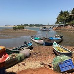 @instagram: Irgendwo bei Cavelossim 
#goa #india #travelbirdie #travelblogger #travel #digitaknomad #digitalnomads #digitalnomadlife #digitalnomadstyle #digitalnomadlifestyle #cavelossim