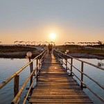 @instagram: Remeniscing sunset walks to the beach.
#Goa #Mandrem #Sunset #Beach