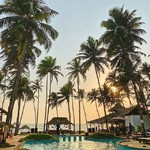 @instagram: Last weekend scene 
#goa #pool #arabian #sea #blue #water #coconut #tree #sun #beautiful #scene #pordosol #ashvem #beach #vsvo #iphonography