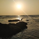 @instagram: #Индия#Гоа#Ашвем#India#Goa#Ashvem