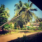 @instagram: Lost in the serenity of this place. Coconut trees, blue skies and the walkable beach with very little crowd. There are few places that are as peaceful as Goa, India.