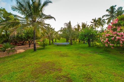 Large green garden