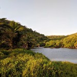 Goa Arambol Beach Gallery: Sunset, The Beach, Sweet Lake, Mountains