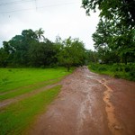 Monsoon Dudhsagar Waterfall