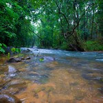 Monsoon Dudhsagar Waterfall