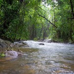 Monsoon Dudhsagar Waterfall