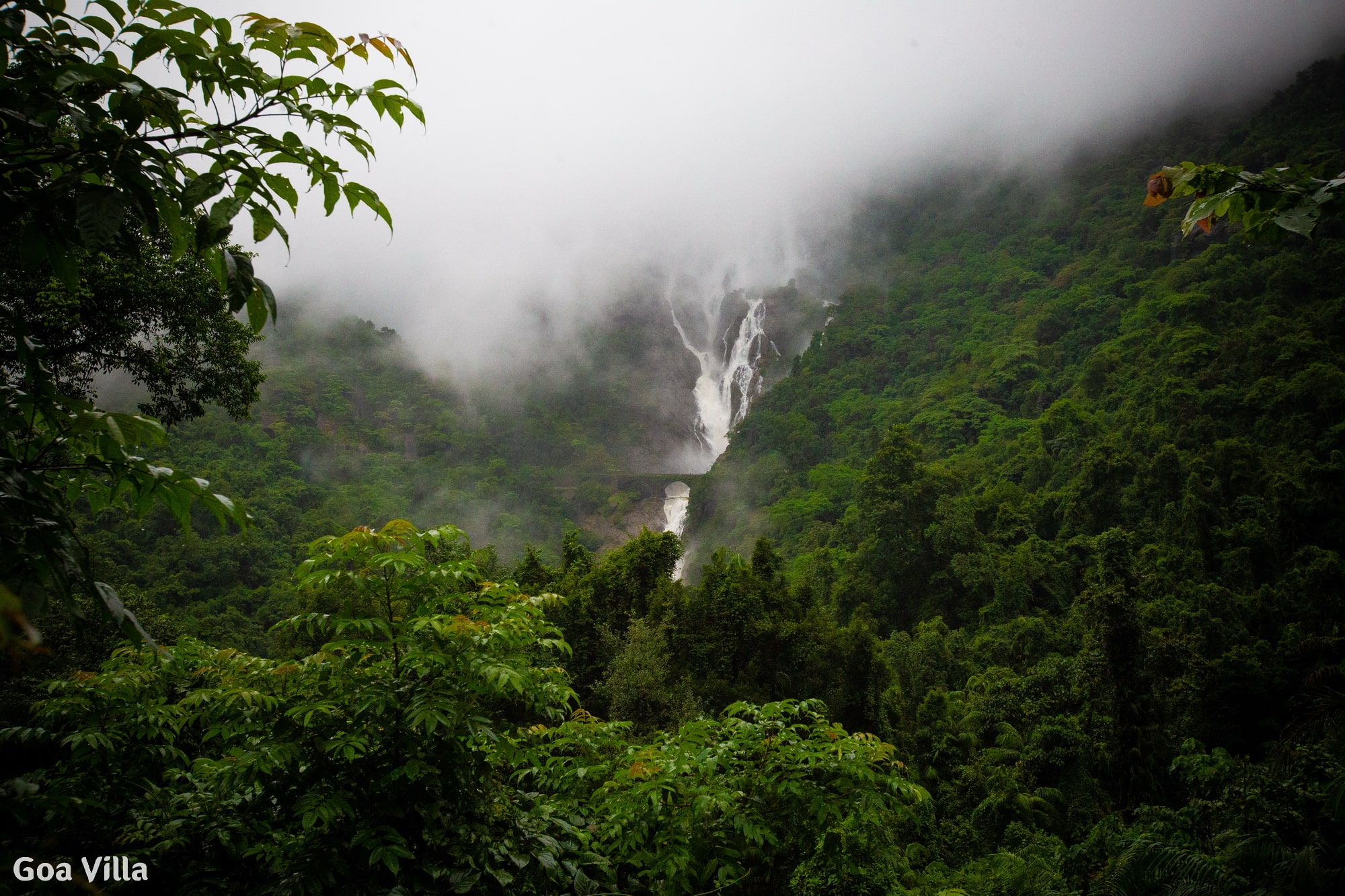 Dudhsagar Falls – the beauty of Goa