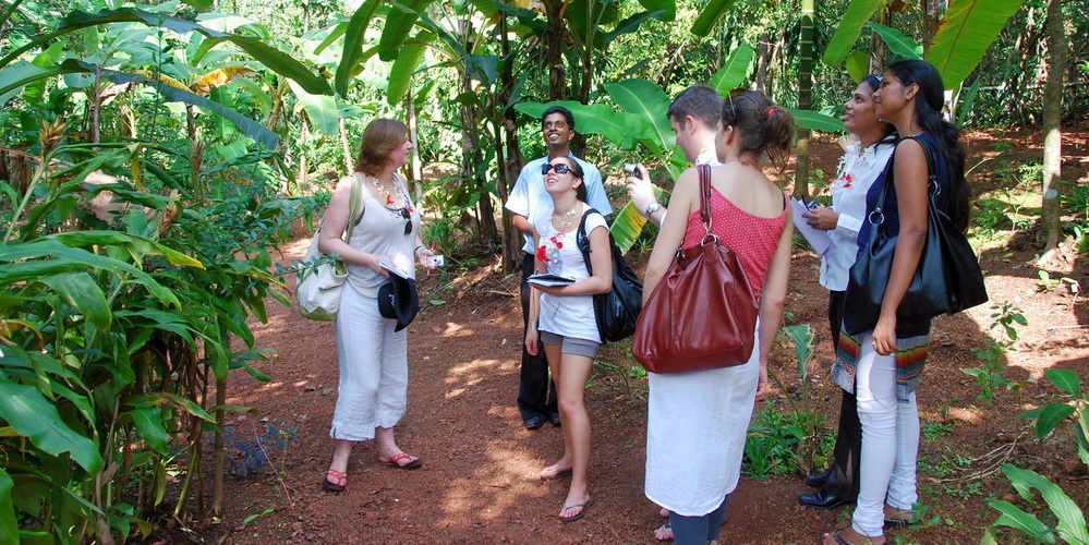 Spice Plantations